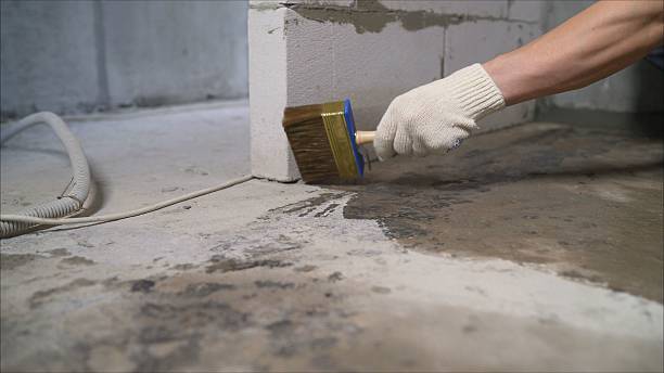 Top rated local Wet Basement Repair specialists in Arp, TX